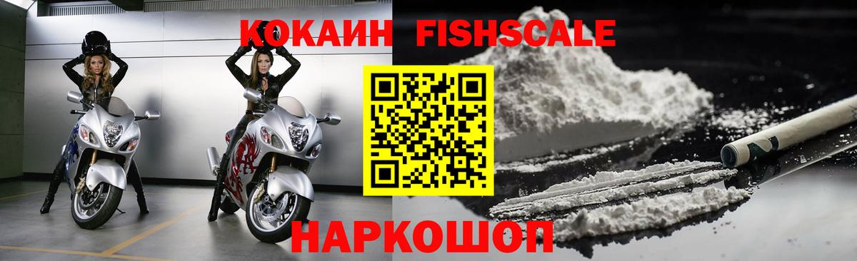 Cocaine Fish Scale  Вход с VPN  Барабинск 